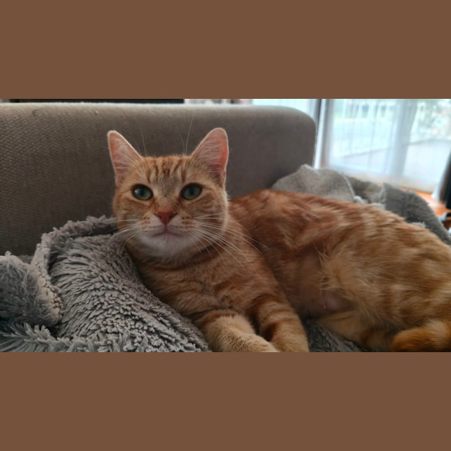 Photo of Mrs Garfield