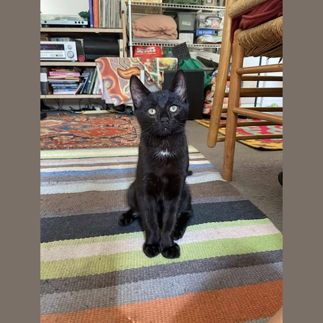 Photo of Philip