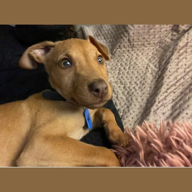 Photo of Murphy
