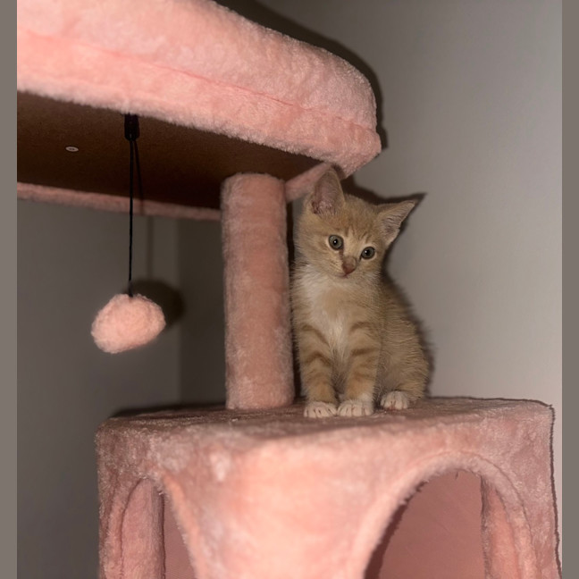 Photo of Ezra