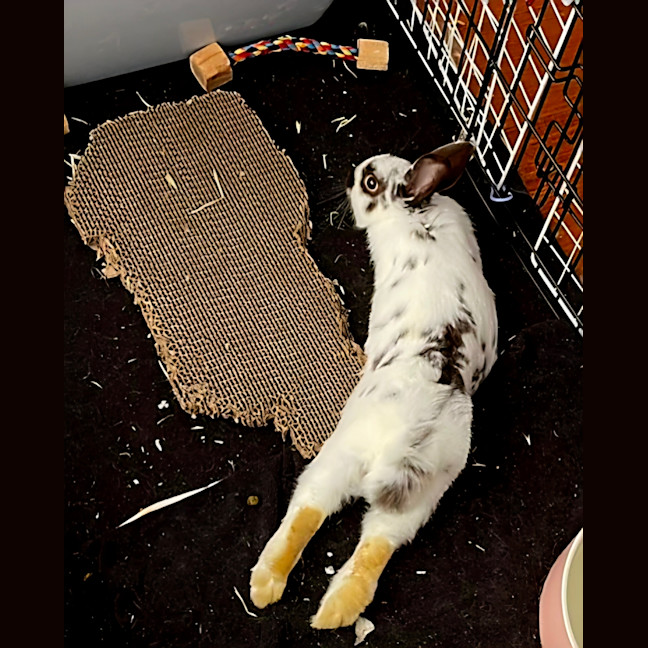 Photo of Strawberry And Popcorn 