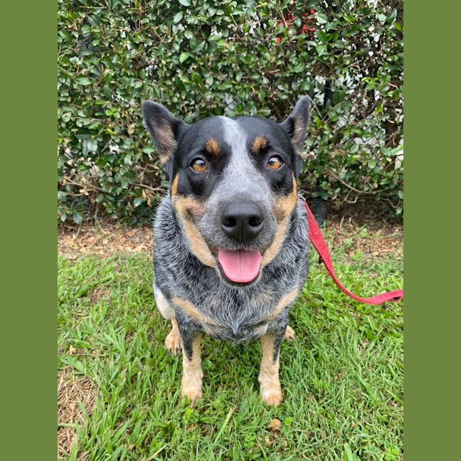 Photo of Bella
