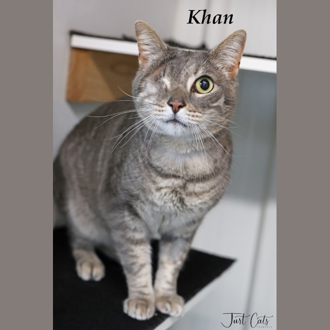 Photo of Khan