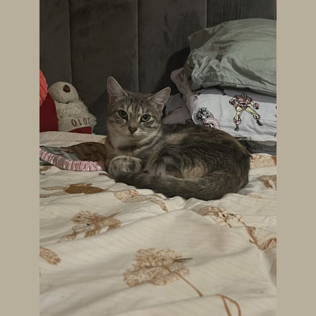 Photo of Angel