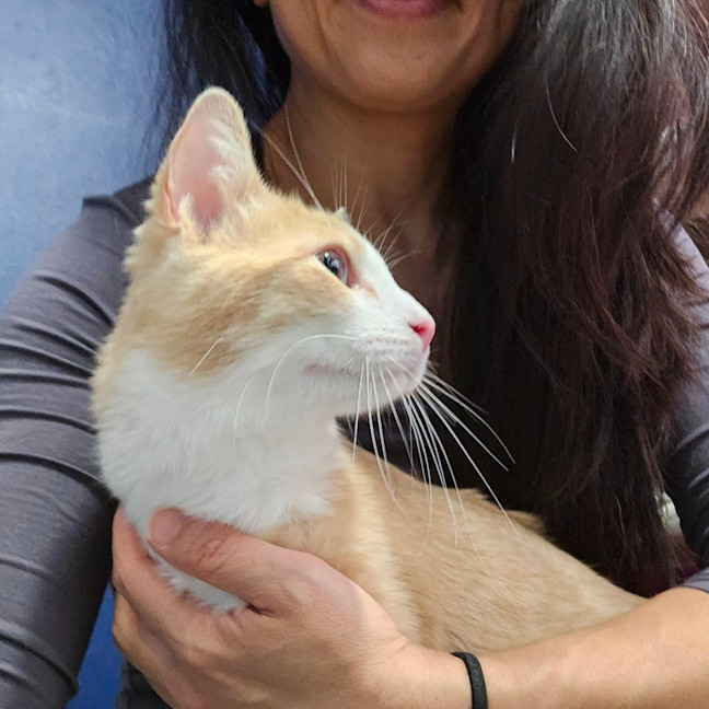 Photo of Little Jack