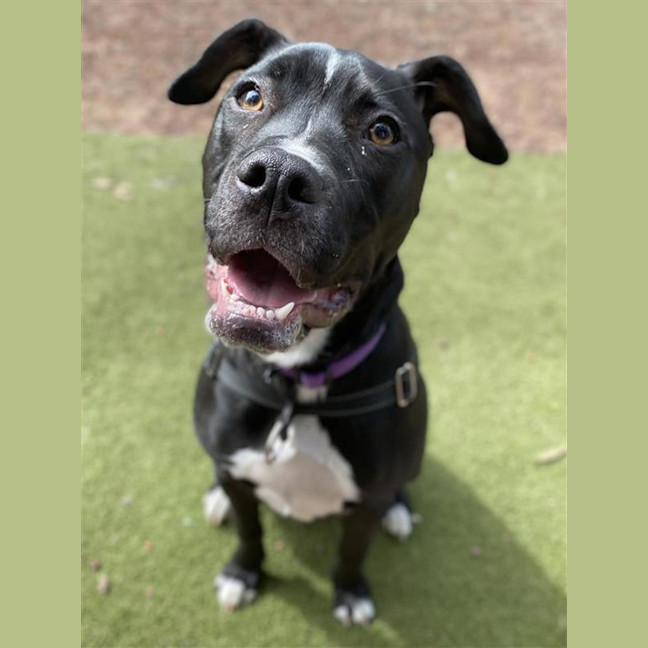 Photo of Winnie