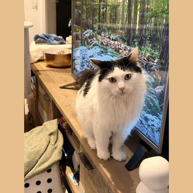 Photo of Wanda