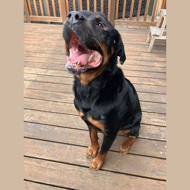 Photo of Zeus