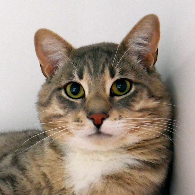 Photo of Errol Sta013184