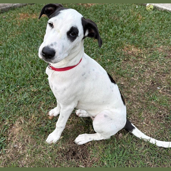 Photo of Sugar 