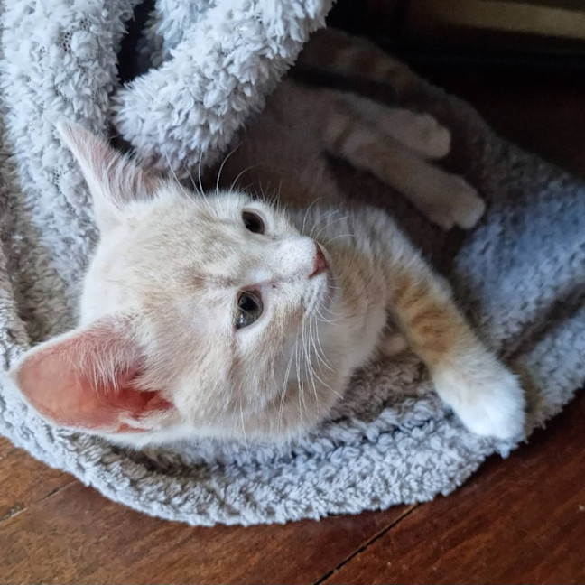 Photo of Lenny Baker