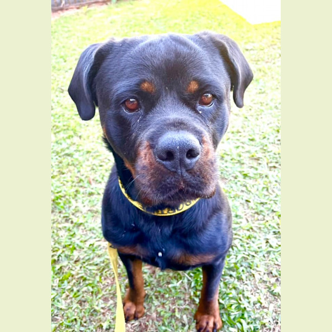 Photo of Lucy