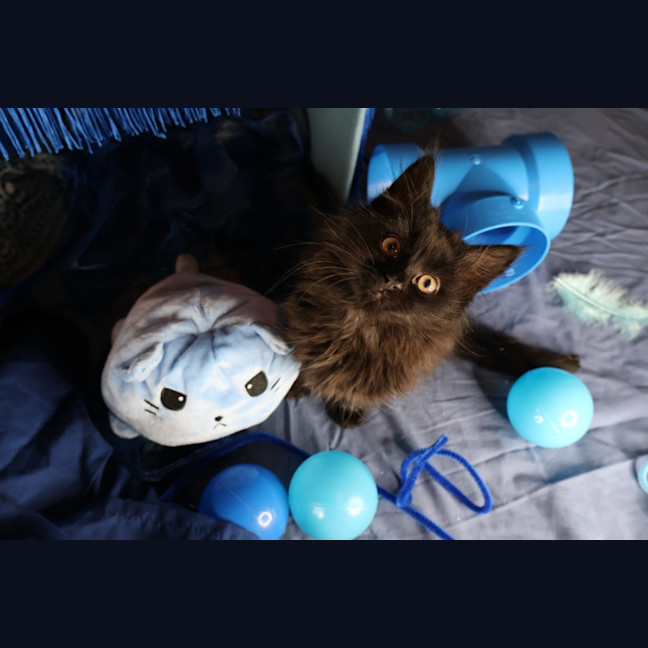 Photo of Electron