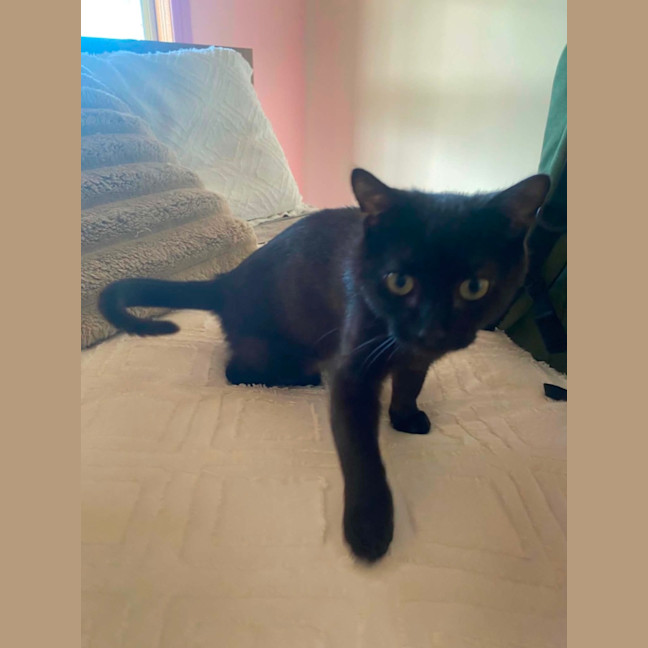 Photo of Enzo 