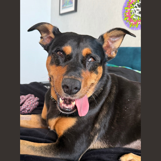 Photo of Amarni 
