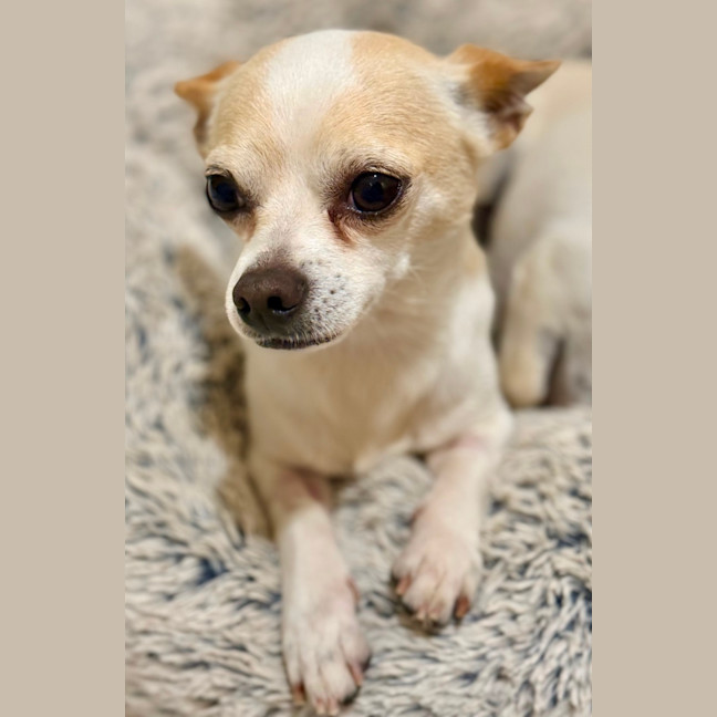 Photo of Mickey & Minnie