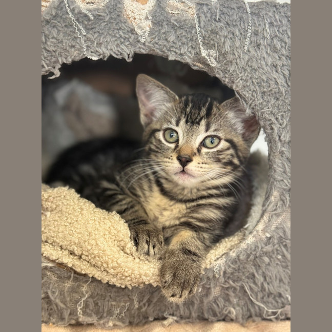 Photo of Huck