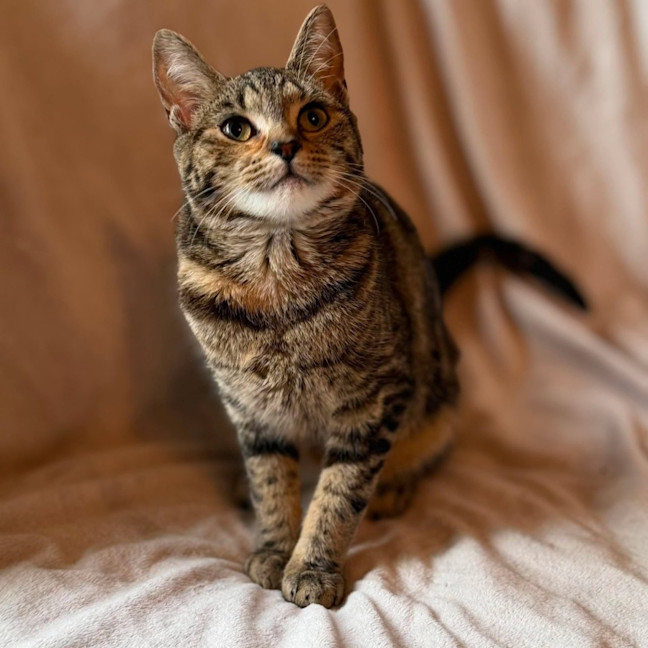 Photo of Natasha   In Foster Care In Templestowe