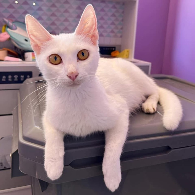 Photo of 11227   Cloud