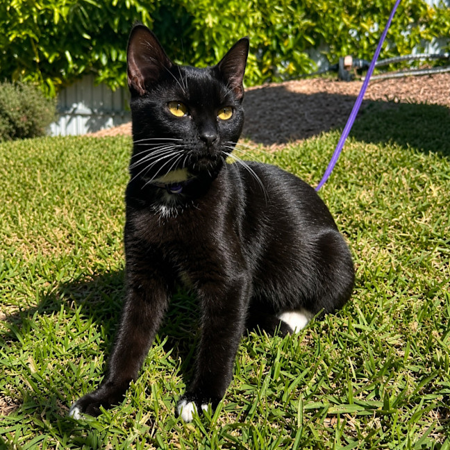 Photo of Levi