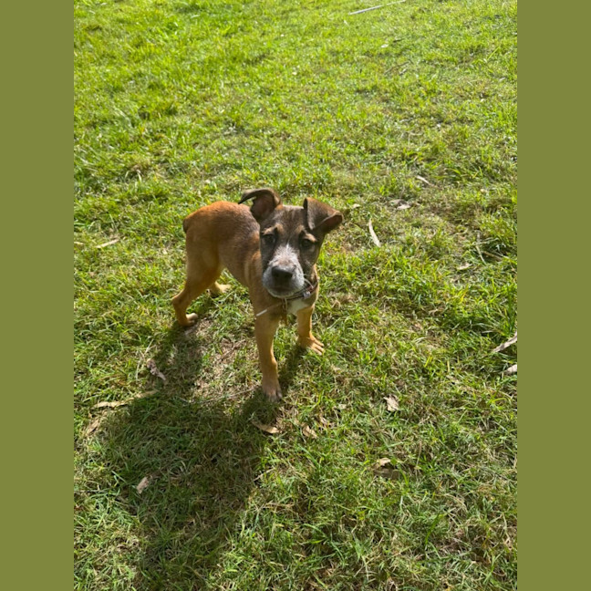 Photo of Ernie