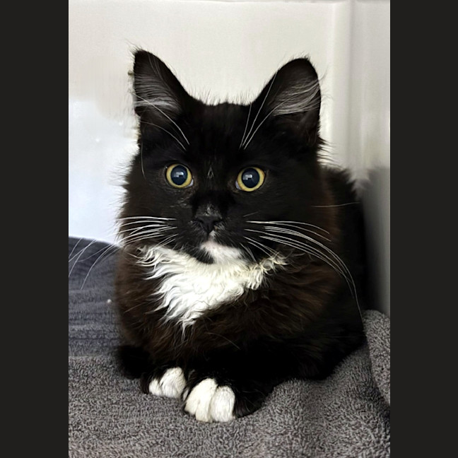 Photo of Lexie & Frank