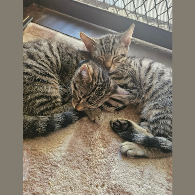 Photo of Mickey 