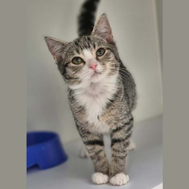 Photo of Skye