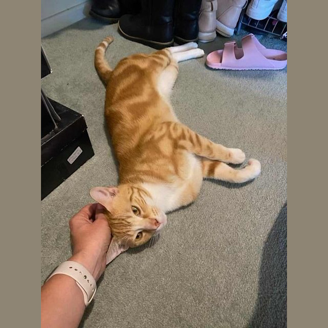 Photo of Buzz
