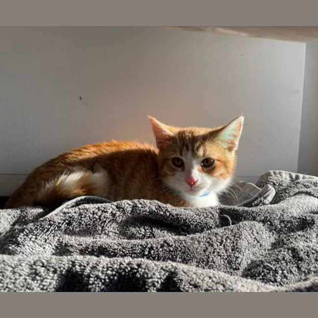 Photo of Bobert