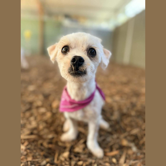 Photo of Murphy
