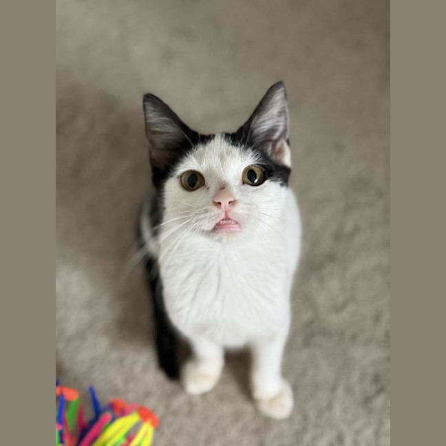 Photo of Zoomie