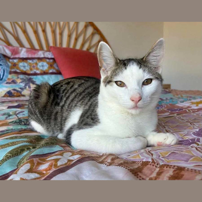 Photo of Murphy