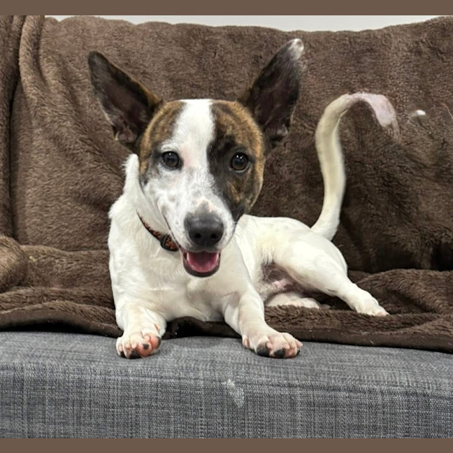 Photo of Turbo