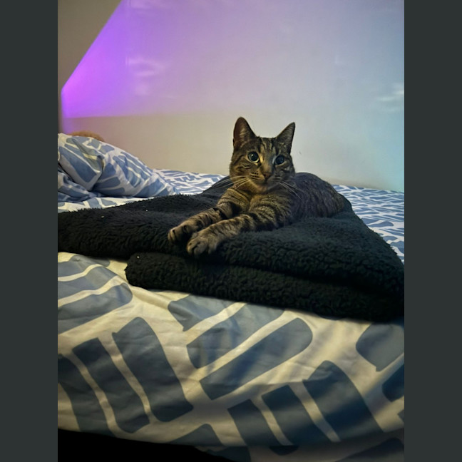 Photo of Simone