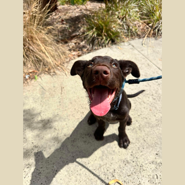 Photo of 🥯 Bagel 5769 🥯