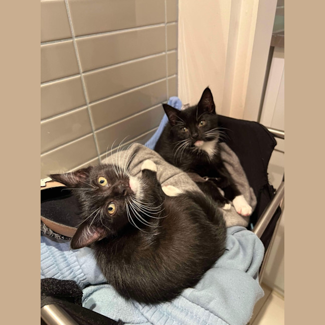 Photo of 🌸Penelope🌸