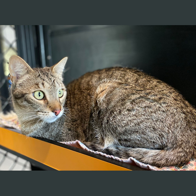 Photo of Jasper