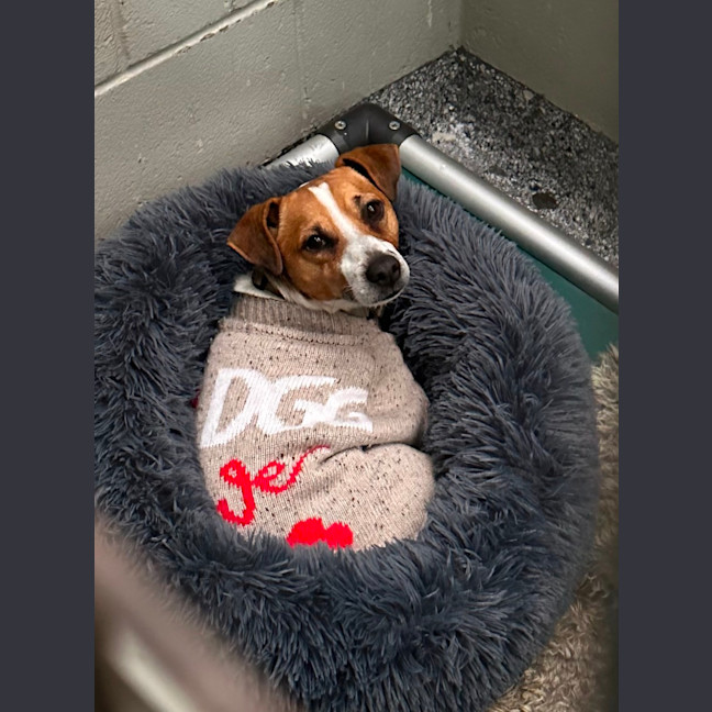 Photo of Bilbo Baggins