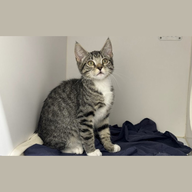 Photo of Tabitha