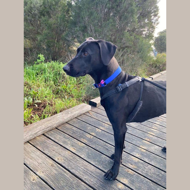Photo of Maggie 🌻