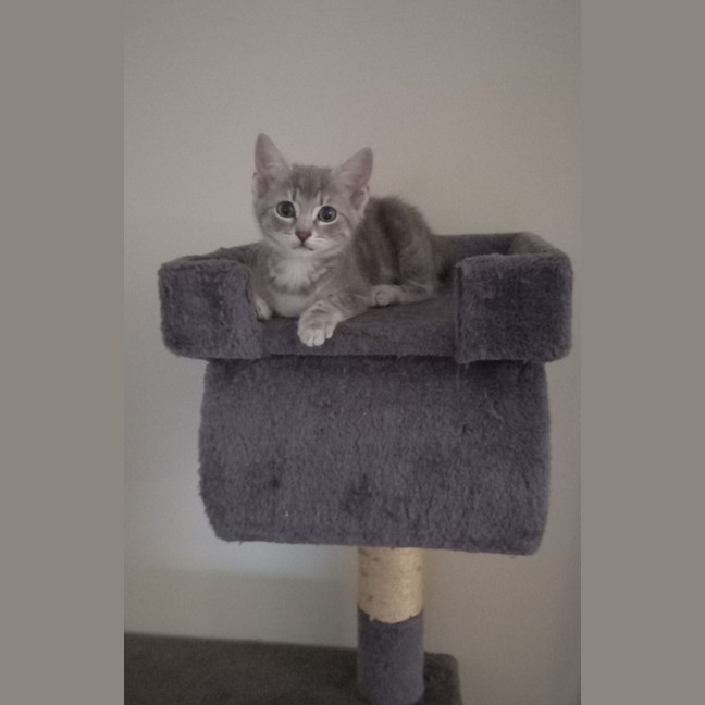 Photo of Athena