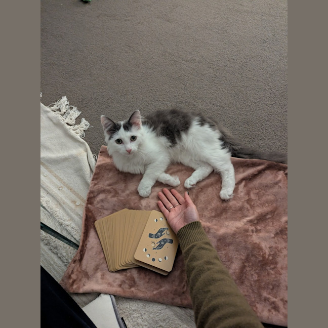 Photo of Popcorn