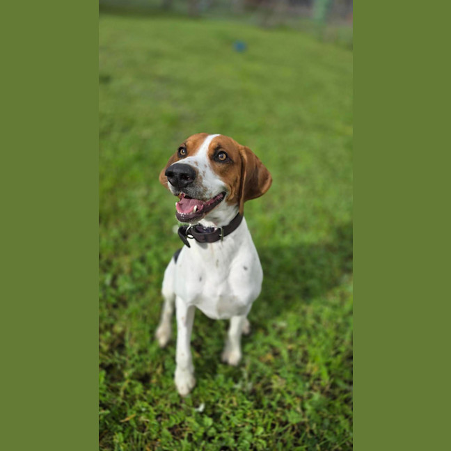 Photo of Wally