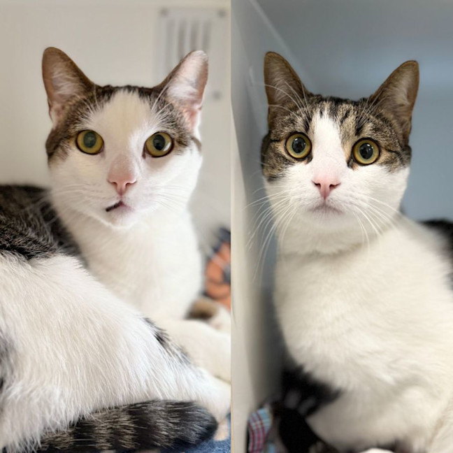 Photo of Huey & Stuey