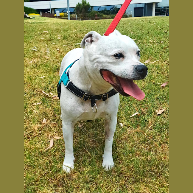 Photo of Princess Zelda