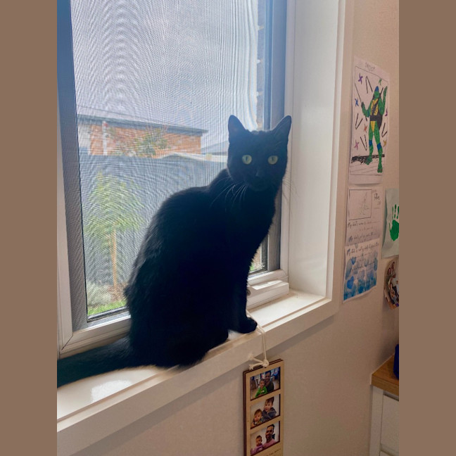 Photo of Lily