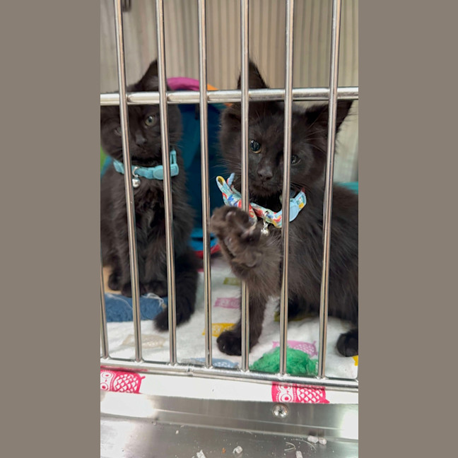 Photo of Minnie & Mickey