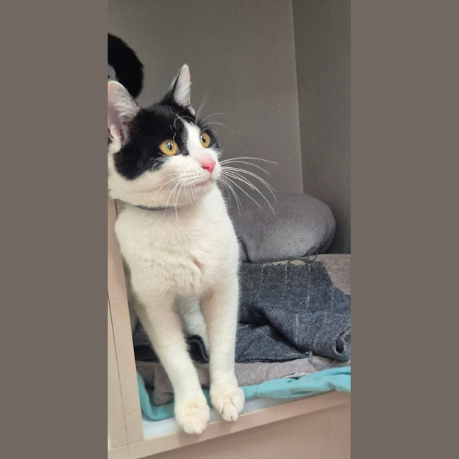 Photo of Gadget (0196)