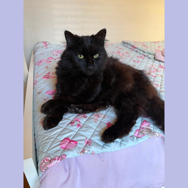 Photo of Freyja: Goddess Of Love & Beauty